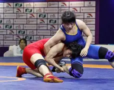 摔跤邀请赛，江汉铁骑队与徽州海豚队强势横扫，VAR改判成焦点！团队防守值得称道的简单介绍