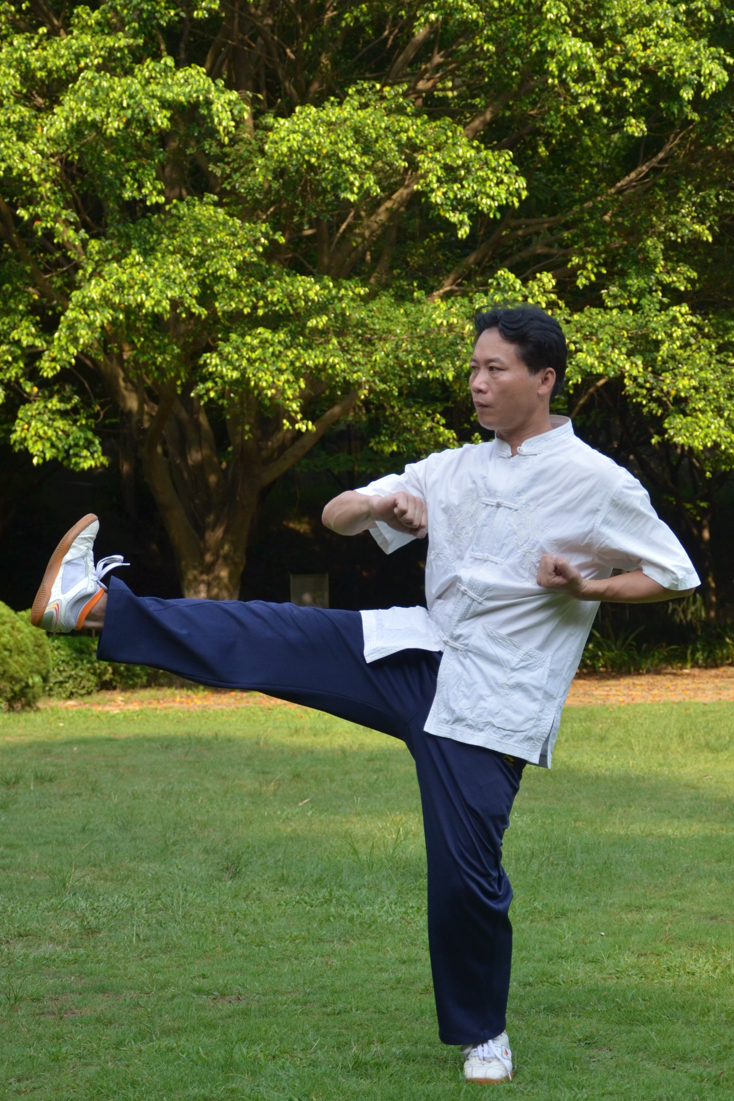 关于西城雄鲨队火力全开泰山山猫队，跆拳道邀请赛上演耐力碾压对手！教练团队居功至伟的信息